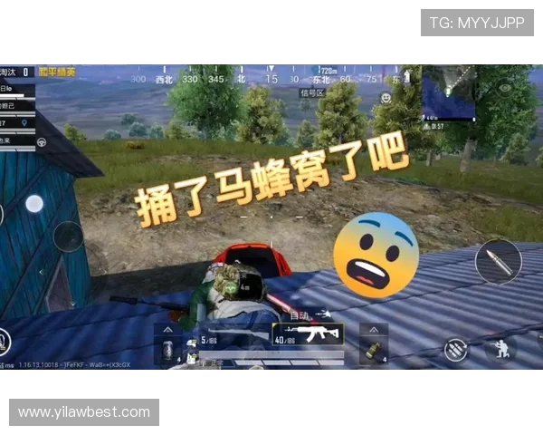 和平精英个人能力排行榜揭晓LNG战队荣登第五名引发关注