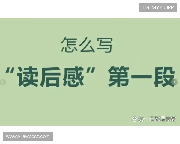 攀岩人生的高峰与低谷陈磊分享他的攀岩旅程与心路历程 攀岩人生的高峰与低谷陈磊分享他的攀岩旅程与心路历程