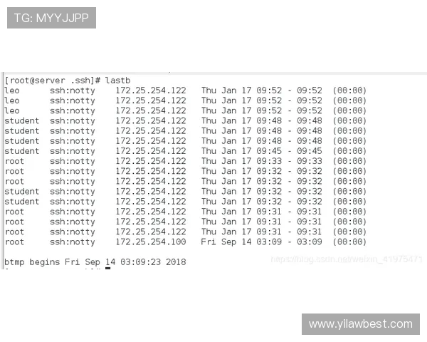 杭州乒乓球队控制策略解析与热点动态深度剖析 杭州乒乓球队控制策略解析与热点动态深度剖析