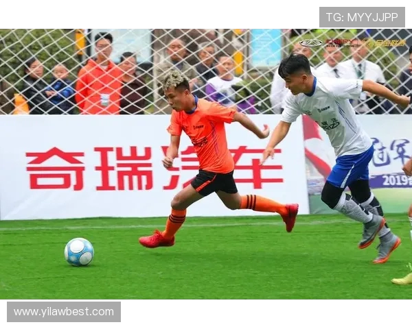 杭州排球队战术变革引发热议新思路助力竞技水平提升 杭州排球队战术变革引发热议新思路助力竞技水平提升