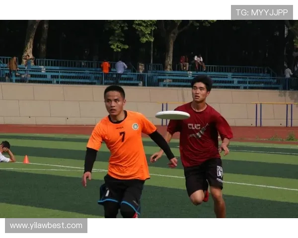 武汉飞盘队灵活性分析与战术创新的深度探讨 武汉飞盘队灵活性分析与战术创新的深度探讨