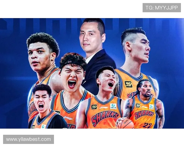 CBA辽宁对阵广东精彩回放全程回顾尽在CCTV频道