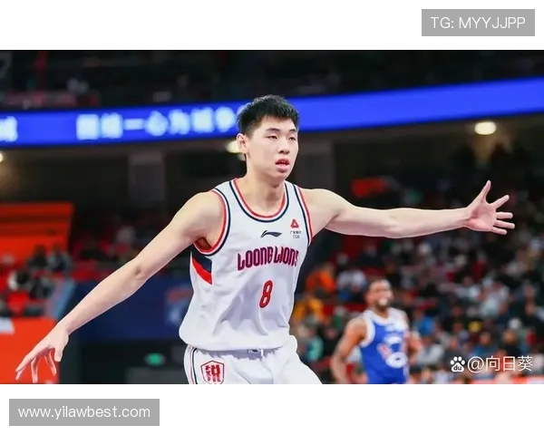 张镇麟的篮球之路：从青涩少年到CBA明星的成长历程与奋斗故事