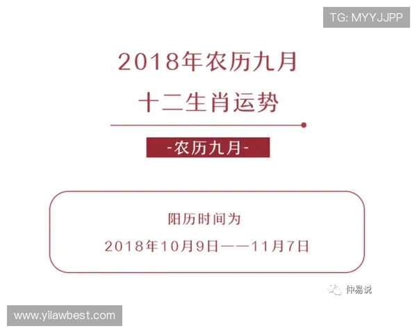 独家解析杭州乒乓球队速度优势与对手的全面对比分析