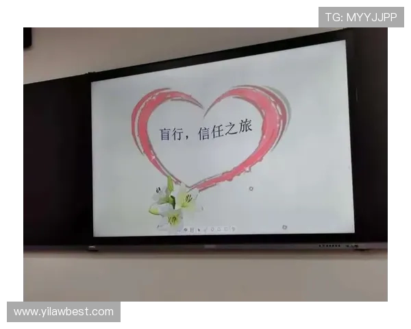 南京排球队团队协作的成功秘诀与未来发展探讨