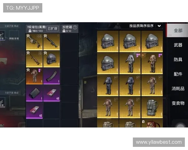 和平精英战术分析：FPX在盯防策略中的优劣势探讨与总结